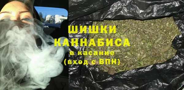 не бодяженный Горно-Алтайск