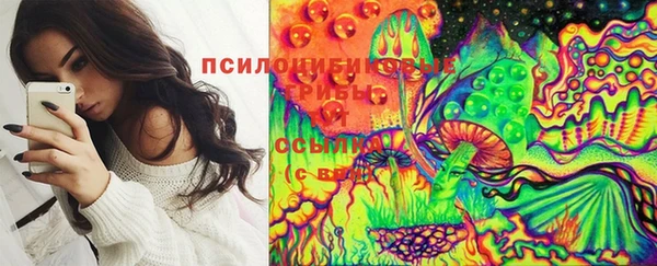 дживик Горнозаводск